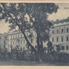 CP Timisoara Temesvár Gyarvaros Liget Fabric parc ND(1916)