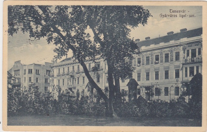 CP Timisoara Temesv&aacute;r Gyarvaros Liget Fabric parc ND(1916)