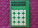 PURIFICAREA GAZELOR - COSTICA STRATULA