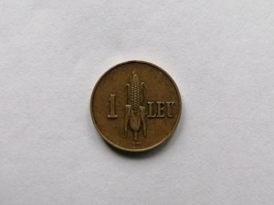 1 leu 1938 foto