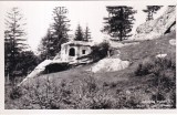 Comuna Putna. Chilia lui Daniil Sihastru (scrisa 1939)