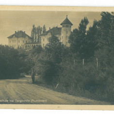 4762 - TARGOVISTE, Romania - old postcard, CENSOR, real Photo - used - 1917