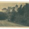 4762 - TARGOVISTE, Romania - old postcard, CENSOR, real Photo - used - 1917