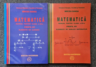 MATEMATICA MANUAL CLASA A XII-A Elemente de algebra + Elemente de analiza Ganga foto