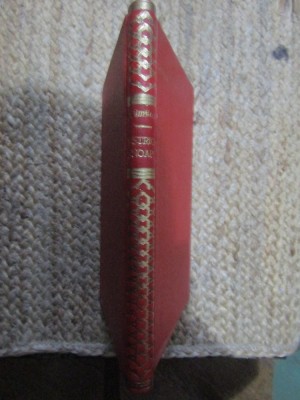 IOANA DIMITRESCU - UN STRIGAT IN NOAPTE foto