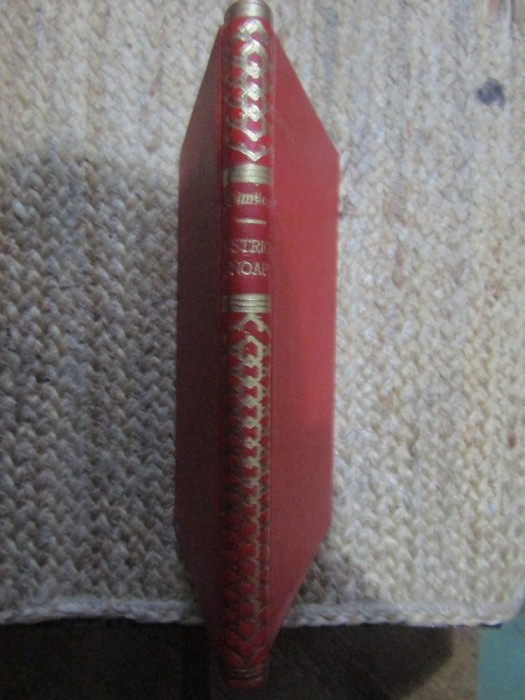 IOANA DIMITRESCU - UN STRIGAT IN NOAPTE