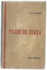 Lae Chioru - Figuri de ceata. Poem dramatic (Editie princeps)
