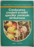 Conducerea cresterii si rodirii speciilor pomicole samburoase &ndash; Parnia Cornelia mb