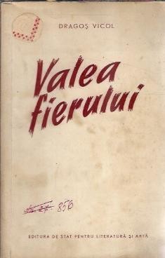 Valea fierului - Dragos Vicol foto