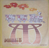 Disc vinil, LP. Trenul Cursa De Persoane Apahida - Cluj-Napoca-SEMNAL M-343442