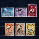 Somalia 1959 - Pasari, serie nestampilata