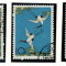 China 1962 - Cocori, serie stampilata