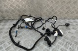 Cablaj ușă dreapta spate TESLA MODEL Y 2023 OEM: 1489054-00-E 26302087