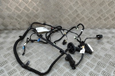 Cablaj ușă dreapta spate TESLA MODEL Y 2023 OEM: 1489054-00-E 26302087 foto
