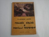 TEOLOGIA BIBLICA A VECHIULUI TESTAMENT - PR. PROF. ATHANASE NEGOITA