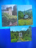 HOPCT LOT 2485 -Ciucea-Octavian Goga-jud CLUJ -3 CARTI POSTALE-CIRCULATE, Circulata, Printata