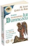 Cumpara ieftin Despre necunoasterea lui Dumnezeu - Sf. Ioan Gura De Aur