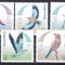 Namibia 2017 fauna pasari MNH