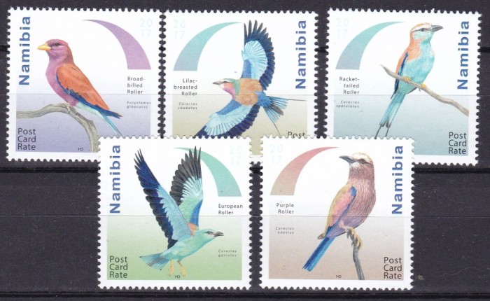 Namibia 2017 fauna pasari MNH