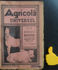 Bolile molipsitoare ale animalelor domestice mari boi si cai Biblioteca Agricola foto