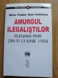 Amurgul ilegalistilor Plenara PMR din 9-13 iunie 1958 - Dan Catanus, Alina Tudor