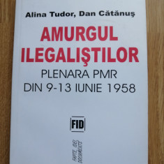 Amurgul ilegalistilor Plenara PMR din 9-13 iunie 1958 - Dan Catanus, Alina Tudor