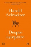 Cumpara ieftin Despre Asteptare, Harold Schweizer - Editura Curtea Veche