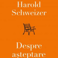 Despre Asteptare, Harold Schweizer - Editura Curtea Veche