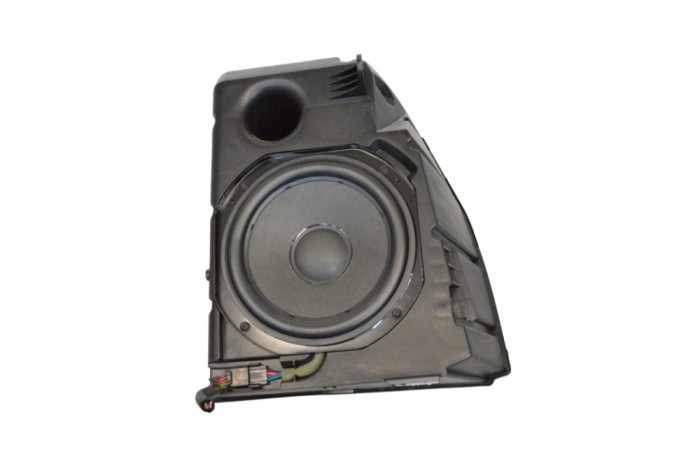 Subwoofer TESLA MODEL 3 2020 OEM: 1079747-00-D | 23902862