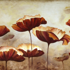 Tablou canvas Flori, maci, maro, pictura, 60 x 40 cm