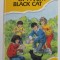 THE DOUBLE LIFE OF A VERY BLACKCAT and THE BIG TREE by ALAN POSENER , illustrations by METTE BRAHM LAURITSEN , 1992