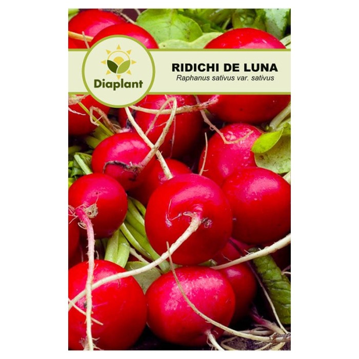 Ridichi Cherry 10 Gr