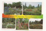 SG5 - Carte Postala -Germania, Sangerhausen, Europa Rosarium, Necirculata, Fotografie