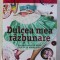 DULCEA MEA RAZBUNARE de JANE FALLON , 2018