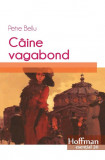 Caine vagabond | Petre Bellu, 2020