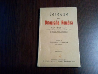 CALAUZA PRIN ORTOGRAFIA ROMANA - Andrei Pescaru - 72 p.; dim.: 15.0x9.5/0.5 cm foto