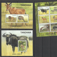 TANZANIA 2017 FAUNA ANIMALE SALBATICE