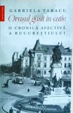 Gabriela Tabacu - Orasul gasit in cutie. O cronica afectiva a Bucurestiului