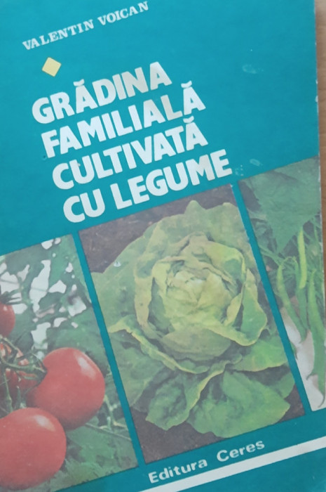 GRADINA FAMILIALA CULTIVATA CU LEGUME - VALENTIN VOICAN