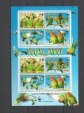 MALAWI 2009 WWF FAUNA PROTEJATA PAPAGALI