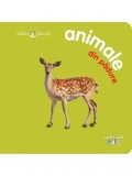 Cumpara ieftin Animale din padure. Bebe invata/***