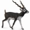 Figurina pictata manual Antilopa Blackbuck