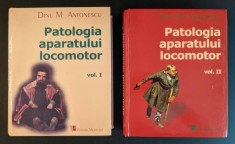 PATOLOGIA APARATULUI LOCOMOTOR Vol. 1+2 volume I II Prof dr Dinu M. ANTONESCU 1220+861 pag ilustrate CARTONATE 26x21x10cm 4,2kg Stare buna Ortopedie