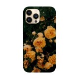 Husa compatibila cu Apple iPhone 14 model Golden Celebration Rose, Silicon, TPU, Viceversa