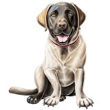 Cumpara ieftin Sticker decorativ, Caine Labrador Retriever, Gri, 75 cm, 1203STK-4