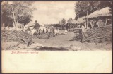 3931 - Manevrele Armatei Romane, Litho, Romania - old postcard - unused