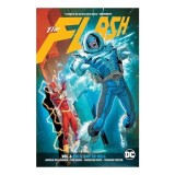 The Flash, Vol. 6