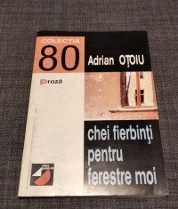 ADRIAN OTOIU - CHEI FIERBINTI PENTRU FERESTRE MOI, COLECTIA &amp;#039;80 / PROZA - 1998 foto