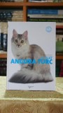 Le chat Angora turc - Mariolina Cappelletti