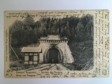 Cumpara ieftin Teregova, Porta Orientalis, calea ferata Timisoara - Orsova 1905, Circulata, Printata